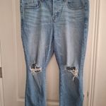 Torrid  Sz 16R Distressed Blue Women's Jeans Photo 7