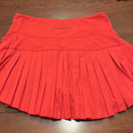 Gold Hinge  Skirt Photo 0