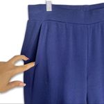 appleseed's Appleseed’s Blue Lounge Casual Pants Medium Tall Photo 4