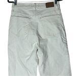 Madewell Perfect Vintage Wide-Leg Jean Vintage Canvas Size 28 Photo 8