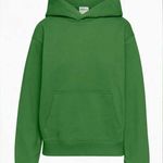 Aritzia TNA Green Extra Fleece Perfect Hoodie Photo 0