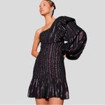 Farm Rio NWT  Lurex Stripes Mini Dress‎ One Shoulder Statement Sleeve reg $265 Photo 1