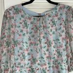 The Impeccable Pig  Dress Size Large Photo 1