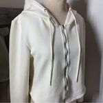 Jil Sander Cream Fitted Cropped Sweatshirt NWOT Size M Photo 11