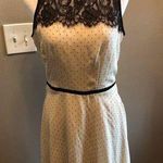 LC Lauren Conrad Lauren Conrad Dress Women’s Size 8 LC Photo 0