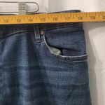 Pistola  High Rise Skinny Stretch Blue Denim Women's Jeans Size 18W Photo 4