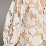 Anthropologie Loren Appliquéd Tulle Mini Dress Photo 1