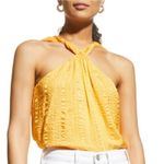 frame denim NWT FRAME 100% Silk Draped Crinkle Halter Neck Top Sz S Photo 0