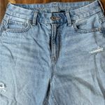 American Eagle Outfitters Blue Curvy Strigid Mom Jeans Distressed Photo 1