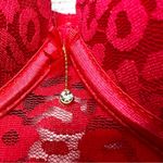 NWT Spree Intimates Pink Lace Sheer Mesh Push Photo 4