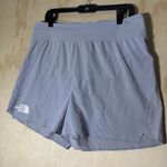 The North Face Men Flight Stridelight SHORTS Summit Large Photo 1