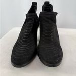 Jeffrey Campbell  Rosalee Snake Embossed Leather Booties in‎ Black Size 8 Photo 3
