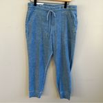 Level 99 Gabrielle Pull On Jogger Pants Chambray Ray of Light Blue NWT Medium Photo 2