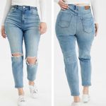 American Eagle NWT Plus Size Ripped Cool Classic Mom Jeans Crop Ankle 16 Short Photo 9