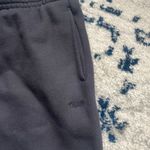 Aritzia Sweatpants Photo 4