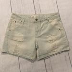 Life in Progress  de in shorts Photo 1