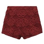 ZARA NWT BLOGGERS FAV CROCHET HIGH WAISTED SHORTS SMALL Photo 2