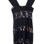 Adrianna Papell  Sleeveless Lace Paneled A-line Dress Back Zip Black Size 10 Photo 1