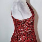 Madam X Red Lace One Shoulder Dress with Peplum NWT Size 6 Lace Cocktail Dress Photo 4
