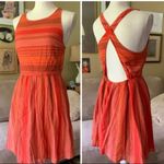 Roxy  Skater dress Photo 4