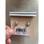 Rebecca Minkoff NWT Oversized Silver Prong Set Shiny Grey Gemstone Style Earring Photo 4