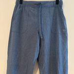 ALBION FIT Jetsetter Joggers Size XS Tall Ankle Zipper Athleisure Chambray Blue Photo 1