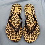 Kate Spade animal print sandals. Style name: Nassau. New. Size 6 Photo 0