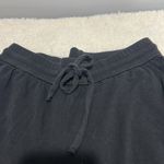 Eileen Fisher  tensel jogger pants size ps/pp Photo 2