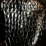 Liz Claiborne Croc Embossed Shoulder Bag Vegan Leather Purse Zip Buckle Black Photo 3