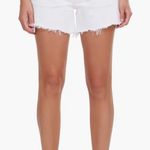 AGOLDE Parker Shorts Photo 0