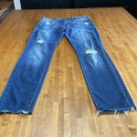 Articles of Society 27 Photo 0