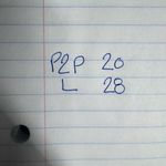 Foxcroft Wrinkle Free Shirt Women 8 Blue Button Up Long Sleeve Spring Career Top Photo 5