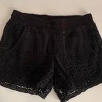 American Rag Black shorts Photo 0