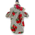 Hint of Blush XL Cold Shoulder Blouse Stripe Red Floral Ruffle Cotton Summer Top Photo 3