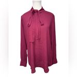 Babaton Aritzia x Piero Long Sleeve Blouse Photo 2