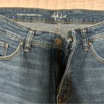 Style & Co Curvy Skinny Leg Jeans Photo 2