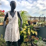 BCBGMAXAZRIA  lace skater dress Photo 3