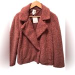 LC Lauren Conrad Lauren Conrad Shabby Teddy Coat Double Breasted Sz XXL Mauve Furry Cozy Fall NWT Photo 1