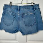 joe's jeans  The Ozzie Cutoff Denim Shorts Size 30 Light Wash Frayed Hem‎ 4" Photo 1