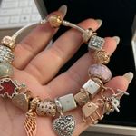Pandora Bracelet (17 Charms) Photo 2