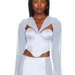 Danielle Guizio NWOT GUIZIO Ravello Corset in Baby Blue Photo 0