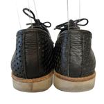 Rollie Australia Derby Punch Black Perforated Leather Lightweight Oxford Shoes Photo 3