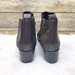 Munro Alix Bootie Ankle Heel Brown Leather Snake Print Womens Size 6W Wi… Photo 5