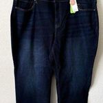 Lane Bryant  Straight Hi-Rise Flex Magicband 22 Photo 0