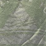 CEA JAE "Crazy On You" Shirt Photo 4