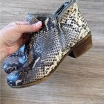 Lucky Brand  Grey Snake Print Leather Ankle Boots Womens 8.5 Booties Fall Western Photo 3