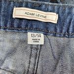 Adam Levine  Denim Blue Patterned Women's Shorts Photo 12