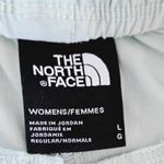 The North Face  Belted Mint Green Shorts Size Large Photo 2
