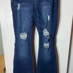 YMI Jeans Flare Jeans Stretchy Photo 0