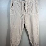 American Eagle Beige Drawstring Jogger Pants SZ:16 Photo 4